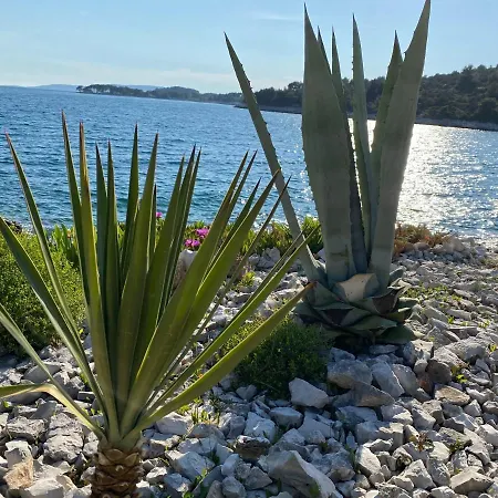 Agnes With 63 M2 Rooftop Terrace, Grill And Pool * Okrug Gornji